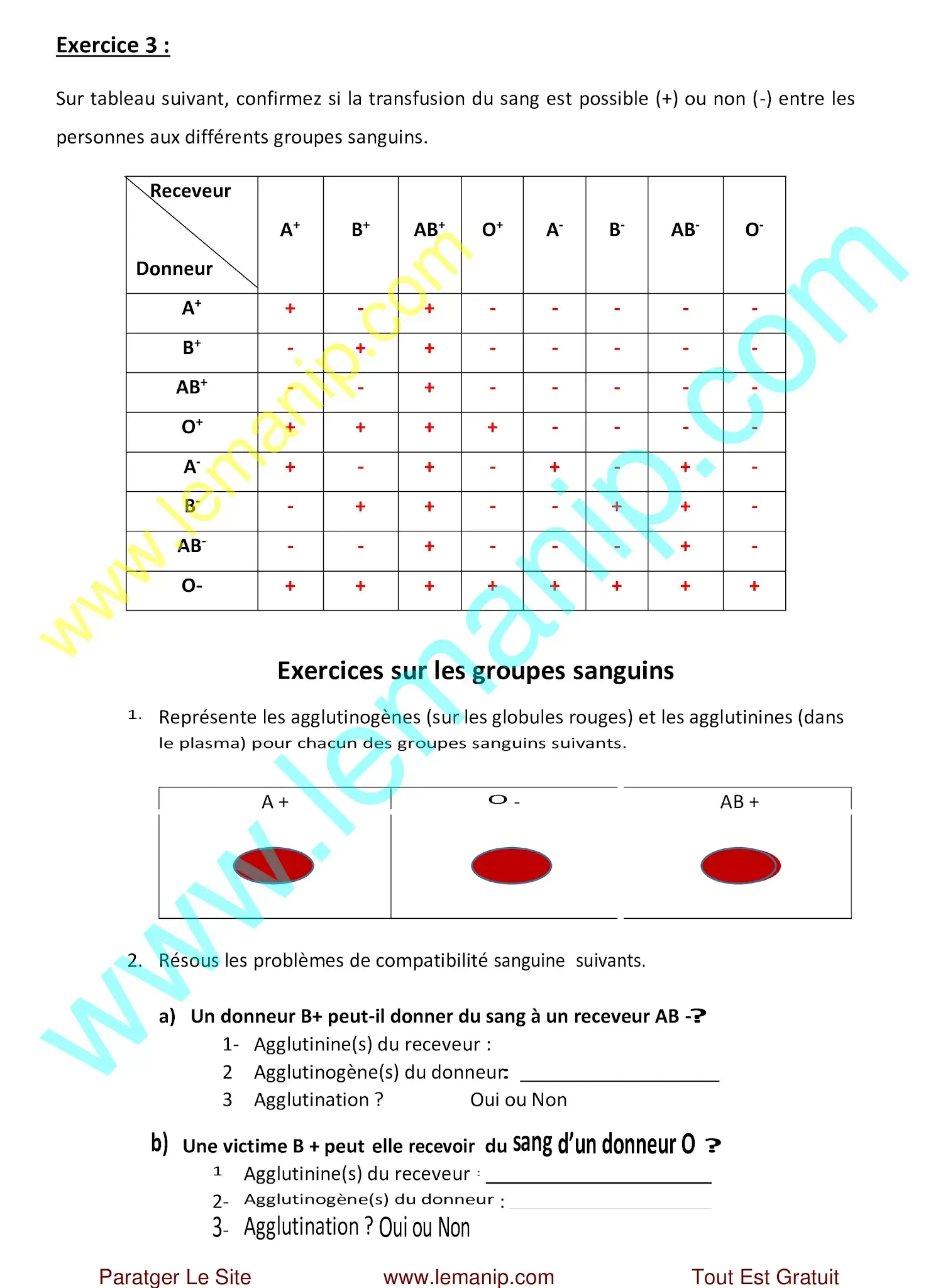 Groupes Sanguins  4