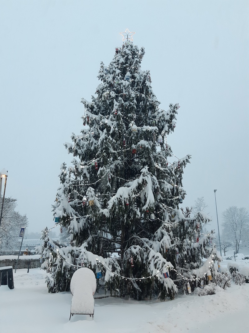 Albero di Natale 2021 - Valsugana