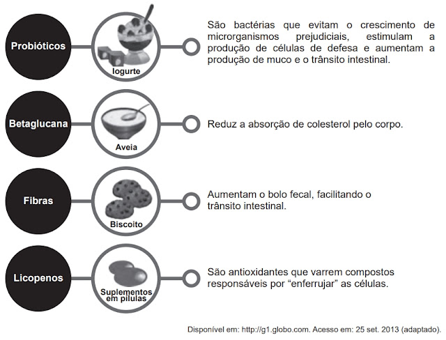 Alimentos funcionais são aqueles que, além de fornecer nutrientes para o corpo, têm ação comprovada na melhora da saúde e na redução do risco de doenças.