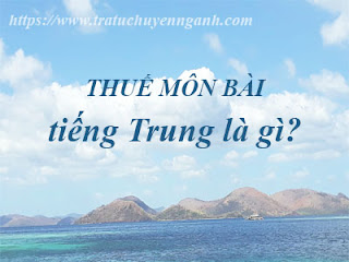 "Thuế môn bài" tiếng Trung là gì?