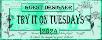 Guest Designer Try it on Tuesday