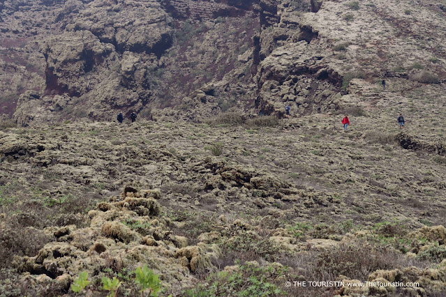 Four hikers on a steep wide field which is dotted with green plants and moss and large brown-red and black boulders, close to a rocky rim.