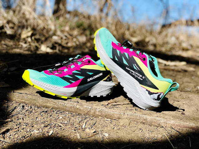 Salomon Sense Ride 5 