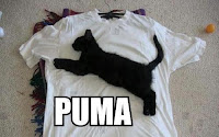 humor puma marca de ropa