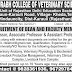 Shourabh College of Veterinary Science, Karauli, Rajasthan, Wanted Teaching Faculty
