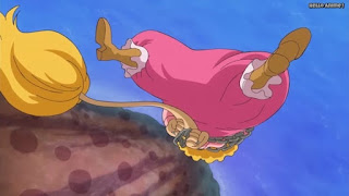 ワンピースアニメ WCI編 795話 ペコムズ Pekoms | ONE PIECE Episode 795