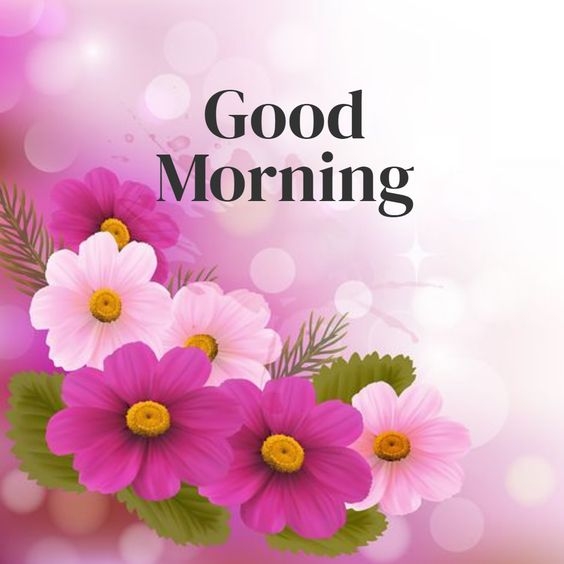 good morning photo rose flower, good morning photo of sunday, good morning photo download share chat, good morning photo hd download, good morning photo status