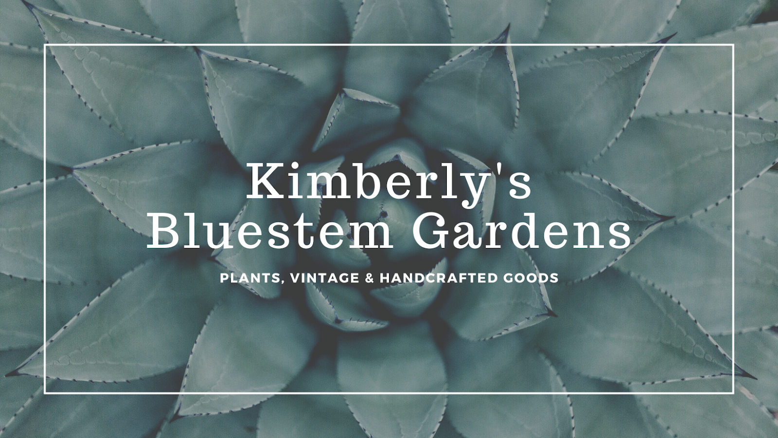 Kimberly's Bluestem Gardens