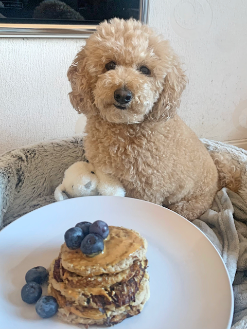 Dog Friendly Pancakes Recipe