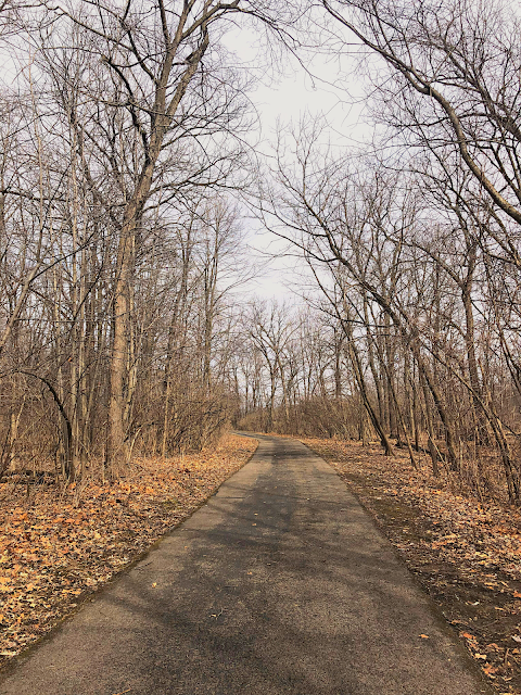 Hiking the paved trail through the woodlands of Hammel Woods in Shorewood, Illinois.