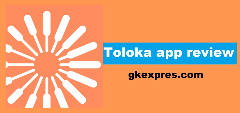 toloka-app-review