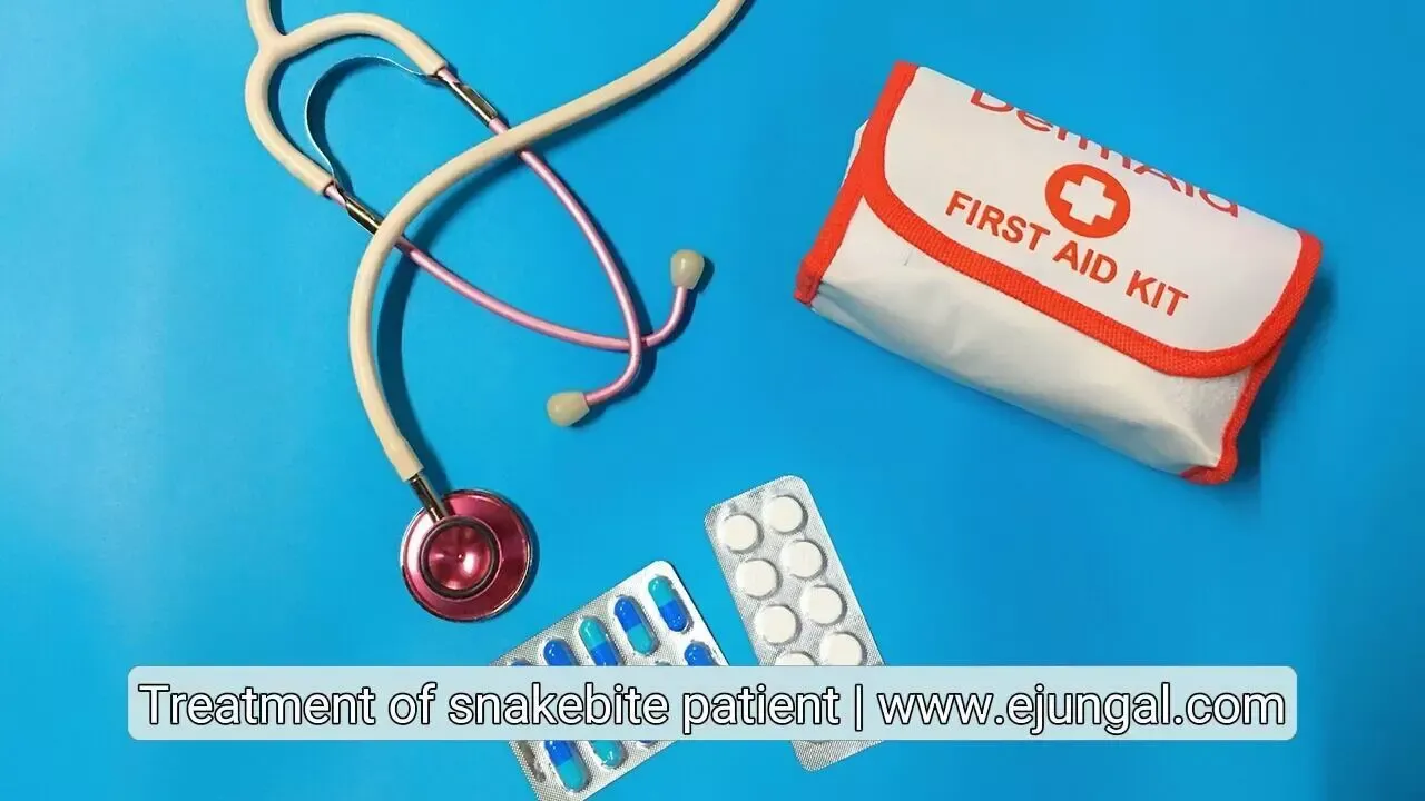 Snake bite treatment, first aid for snake bite patients, what to do in case of snake bite, what not to do in case of snake bite