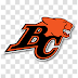 Download BC Lions ( Canadian football team ) Logo PNG stickers stock free