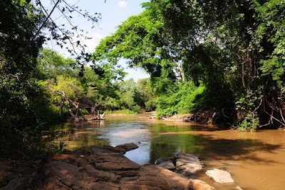 Contraloría notifica a la Corte Constitucional incumplimiento de dos órdenes sobre protección ambiental del arroyo Bruno, en La Guajira