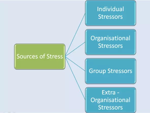 Sources of Stress - Individual, Group, Organisational, Extra-organisational Stressors