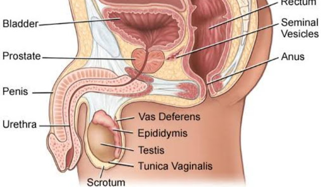 Cancer colorectal homme