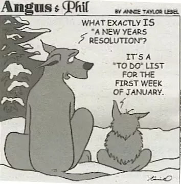 Funny new year resolutions