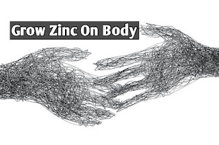 Grow Zinc On Body - find out how To Grow Zinc On Your Body And Effectively