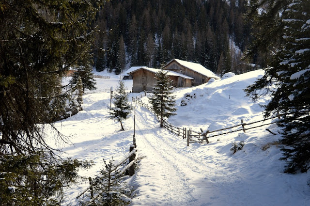 ciaspole alto adige passeggiate invernali