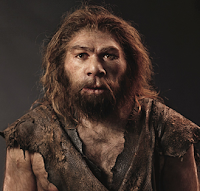 Pengertian Homo Heidelbergensis dan Ciri-cirinya