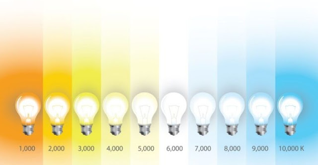 The Big Difference Between Soft White and Daylight