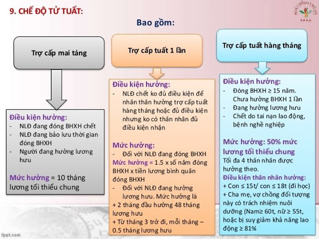 Giải quyết hưởng chế độ tử tuất