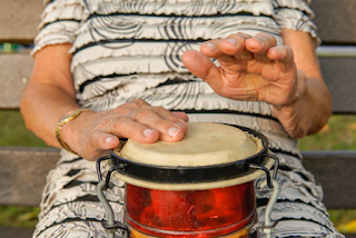 Hand Drums (Bongo or Djembe)