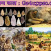Purapashan kaal | पाषाण काल : पुरापाषाण काल , मध्यपाषाण काल , नवपाषाण काल
| Paleolithic age | Mesolithic age | Neolithic age