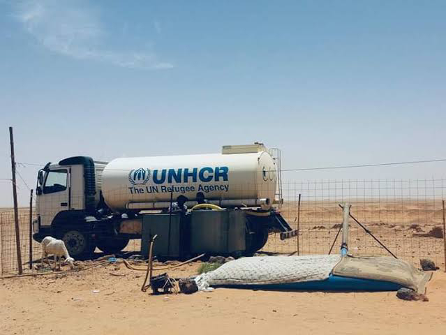 Ola de calor sin precedentes golpea a los campamentos saharauis