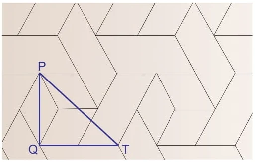 Um tapete em forma de mosaico é composto por paralelogramos não losangos, idênticos entre si, e losangos idênticos entre si, sem sobreposição de figuras.