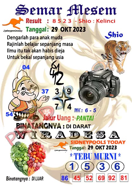 Prediksi Semar Mesem SDY Hari Ini JP 29 Oktober 2023