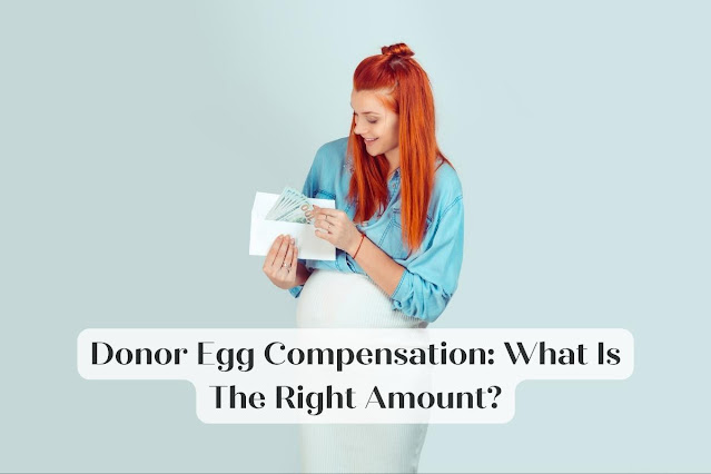 Donor Egg Compensation: What Is The Right Amount?