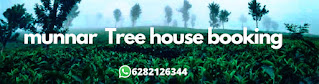 munnar tree house