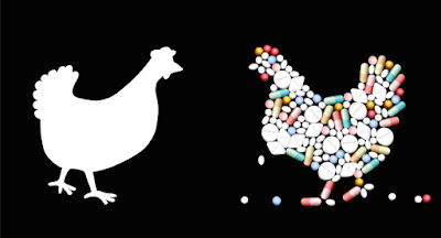 Is it possible to raise animals completely antibiotic-free?