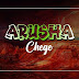 VIDEO: Chege – Arusha | LYRICS