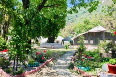 Luxury Tents In Palampur