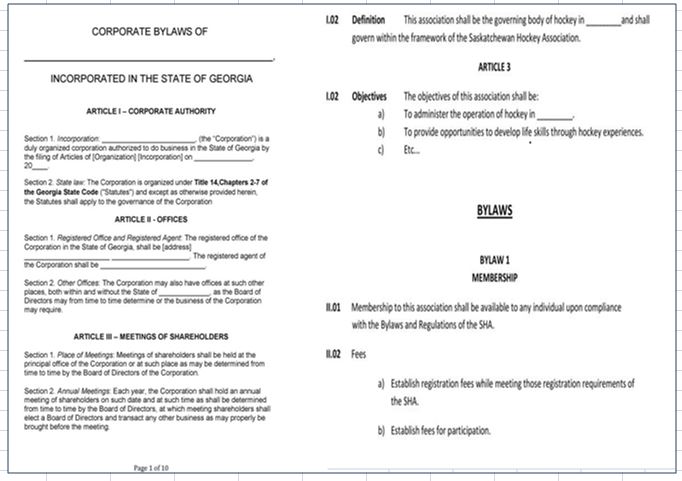 Bylaws Template for Non-Profit Organization