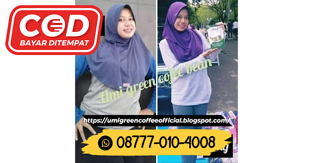 08777 010 4008 jual Kopi Hijau Pelangsing UMI Green Coffee UGC Makassar