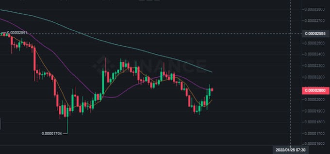 Shiba Inu price likely to create support between $0.000016 and $0.000020