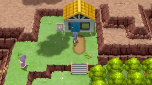 The attack instructor for Draco Meteor lives in this house on Route 210.