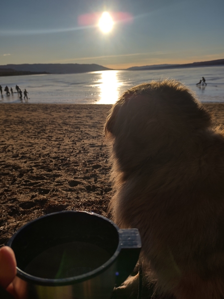 leonberger røsholmstranda