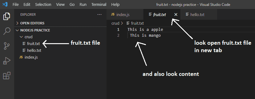 I've opened fruit.txt name file in a new tab - node js write to file line by line - fs.writefile example