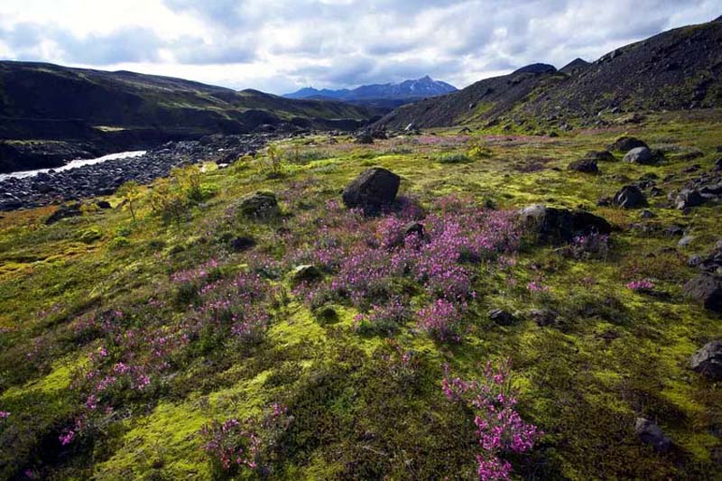 The Best Hikes in Landmannalaugar, Iceland