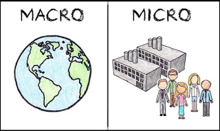 5 Perbedaan Ekonomi Mikro dan Makro