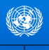  Driver (NPSA2)  -  United Nations Development Programme (UNDP)