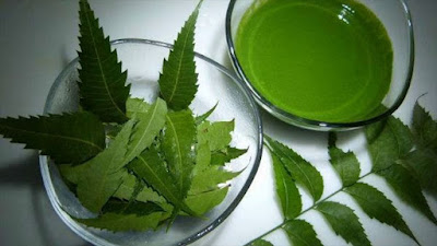 Neem Extracts Market