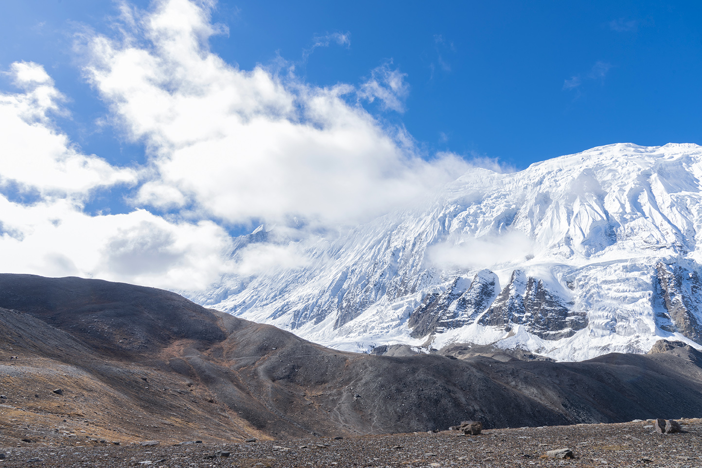 Tilicho Peak