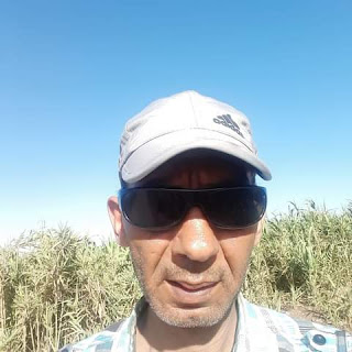صورة