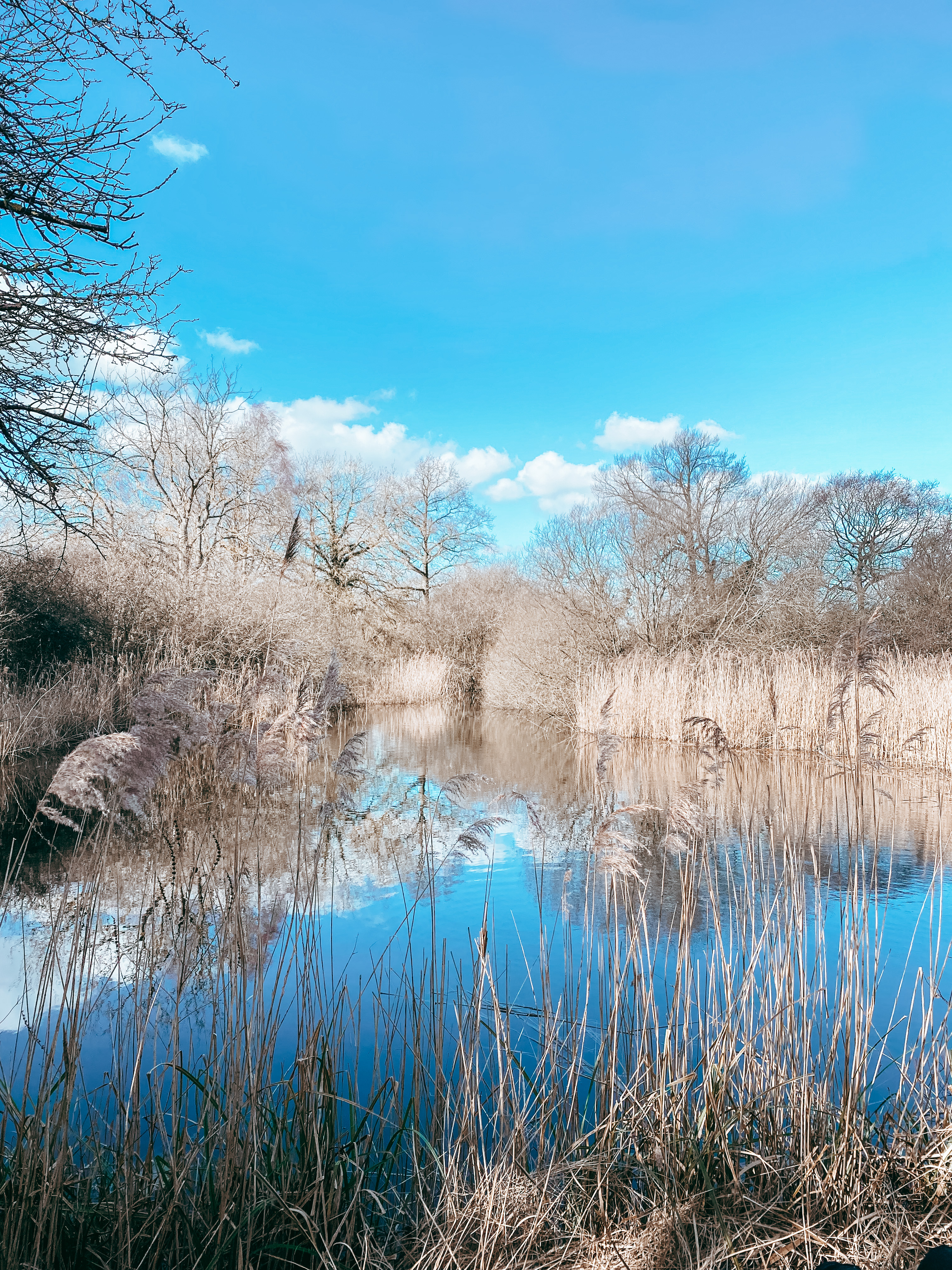 Wicken Fen, Cambridgeshire