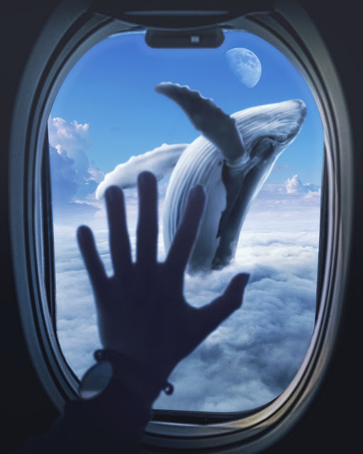 Flying-Whale-Photo-Manipulation-Photoshop-Tutorial